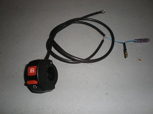 DSCF7855.JPG