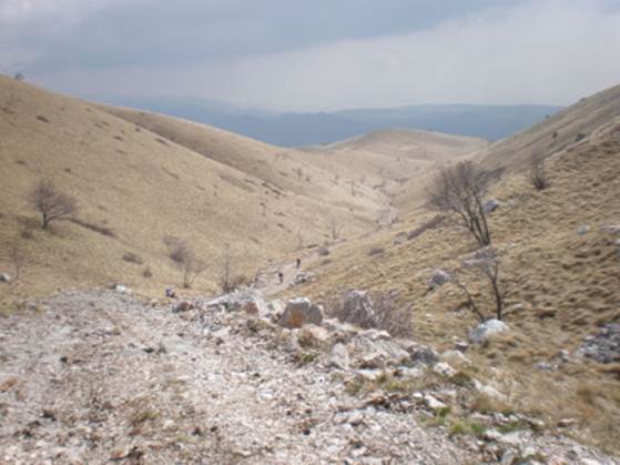 s010.jpg